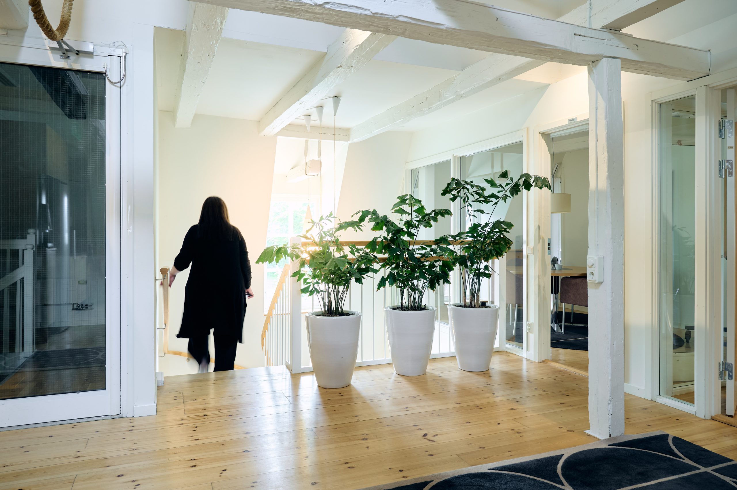 Rättsfallsanalys: Ersättning vid förlikning med tredje man – En analys av NJA 2024 s. 369 (“Flyttstädningen”)